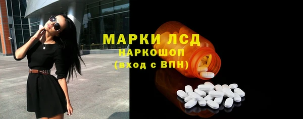 гидра Арсеньев