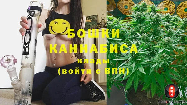 гидра Арсеньев